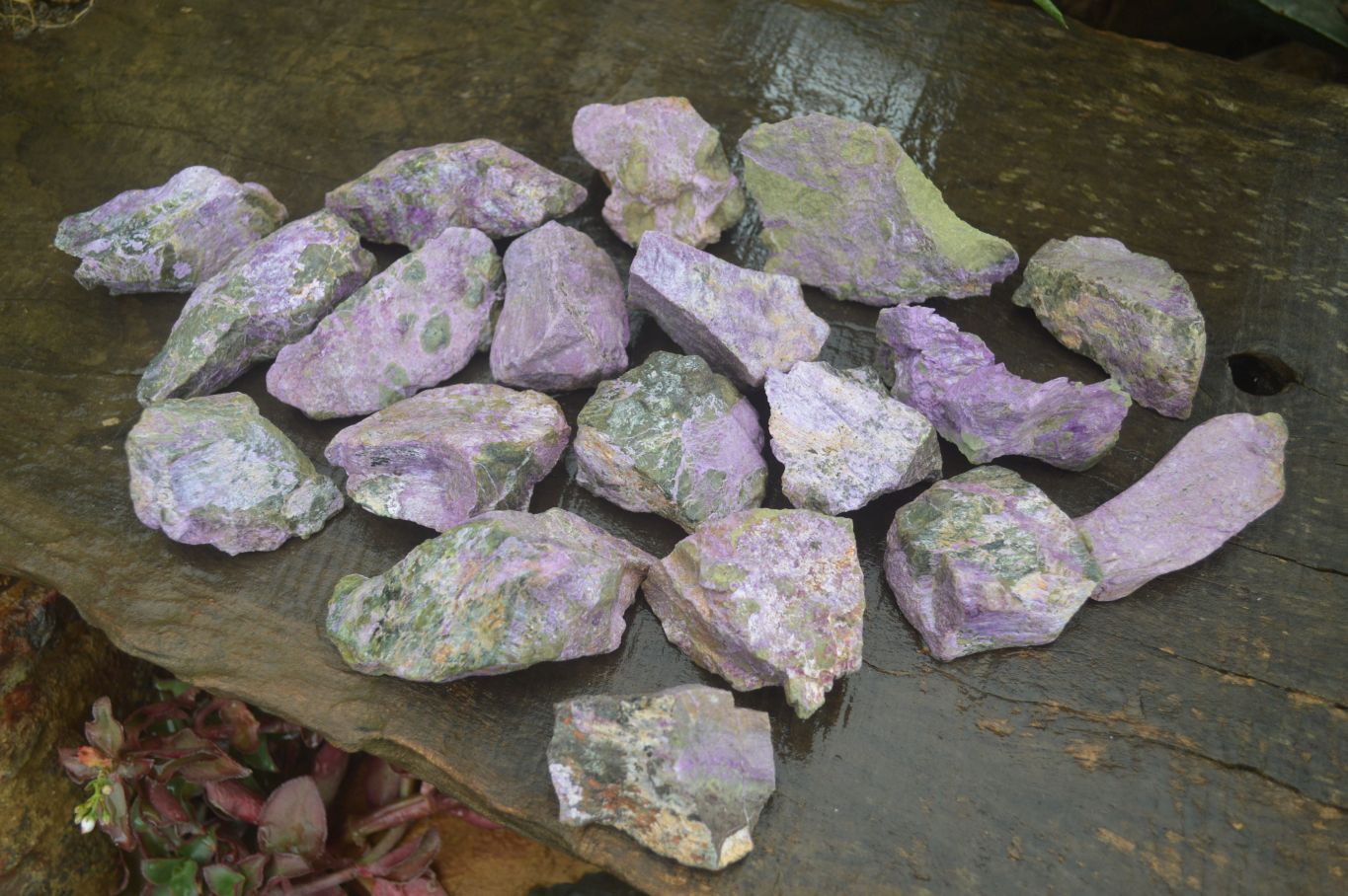 Natural Rough Stichtite Cobbed Specimens x 24 From Barberton, South Africa - Toprock Gemstones and Minerals 