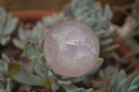 Polished Star Rose Quartz Spheres x 12 From Ambatondrazaka, Madagascar - TopRock