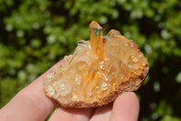Natural Small Mixed Quartz Clusters x 35 From Madagascar - TopRock
