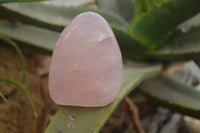 Polished Gemmy Pink Rose Quartz Standing Free Forms  x 5 From Ambatondrazaka, Madagascar - TopRock