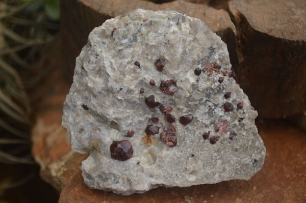 Natural Red Pyrope Garnet In Feldspar & Quartz Matrix  x 4 From Karibib, Namibia - Toprock Gemstones and Minerals 