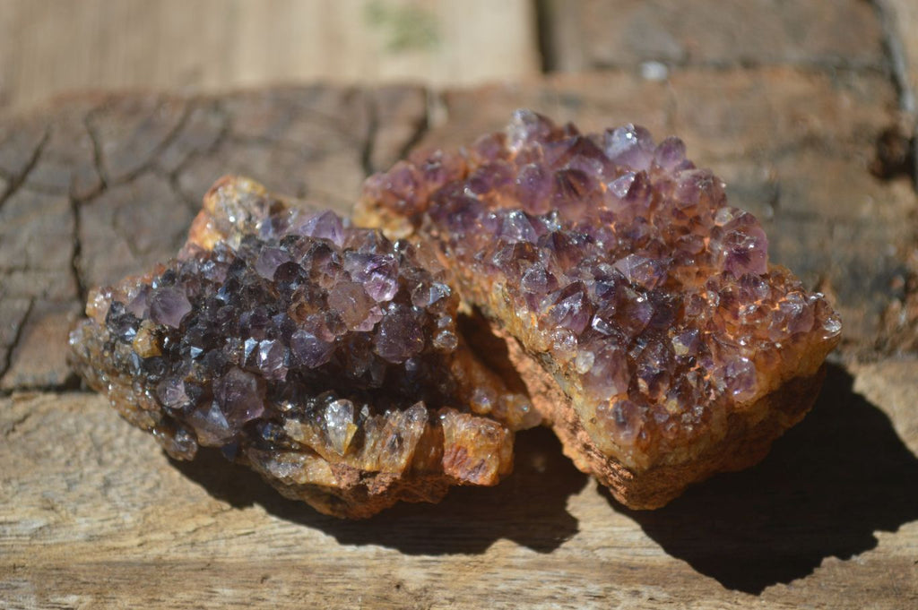Natural Small Dark "Amethystos" Amethyst Clusters  x 35 From Kwaggafontein, South Africa - Toprock Gemstones and Minerals 