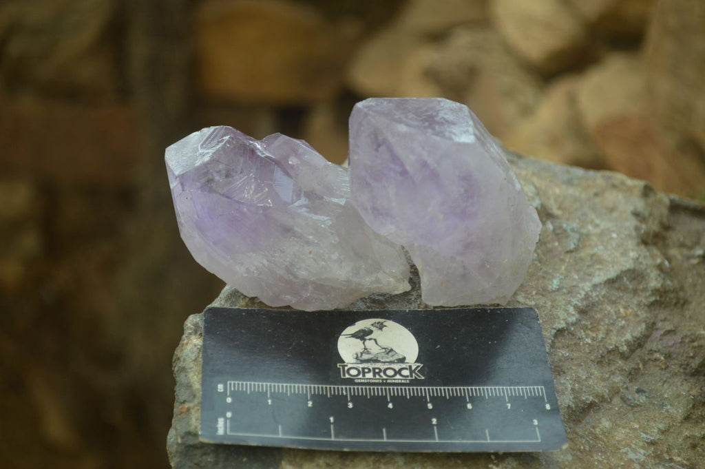 Natural Single Jacaranda Amethyst Crystals x 12 From Mumbwe, Zambia - Toprock Gemstones and Minerals 