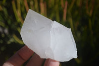 Natural Large White Quartz Crystals  x 6 From Madagascar - Toprock Gemstones and Minerals 