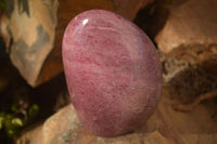 Polished  Pink & Black Rhodonite Standing Free Forms x 2 From Madagascar - Toprock Gemstones and Minerals 