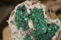 Natural Rare Ball Malachite On Drusy Quartz & Dolomite Matrix Specimens  x 2 From Kambove, Congo - Toprock Gemstones and Minerals 