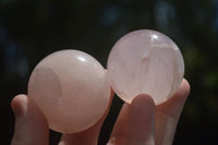 Polished Star Rose Quartz Spheres x 12 From Ambatondrazaka, Madagascar - TopRock