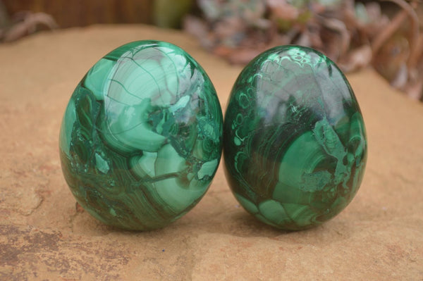 Polished Large Flower Malachite Eggs  x 2 From Congo - TopRock
