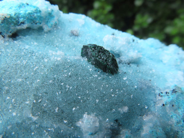 Natural Drusy Coated Chrysocolla Specimens x 3 From Likasi, Congo - TopRock