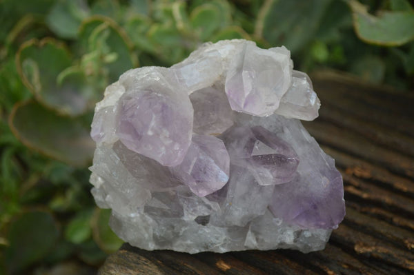 Natural Jacaranda Amethyst Clusters  x 3 From Zambia - Toprock Gemstones and Minerals 