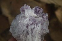 Natural Sugar Amethyst Clusters  x 4 From Zambia - Toprock Gemstones and Minerals 