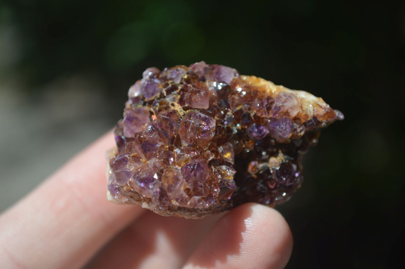 Natural Small Dark "Amethystos" Amethyst Clusters  x 35 From Kwaggafontein, South Africa - Toprock Gemstones and Minerals 