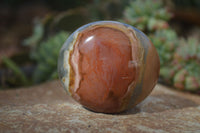 Polished Polychrome Jasper Palm Stones & Heart  x 6 From Madagascar