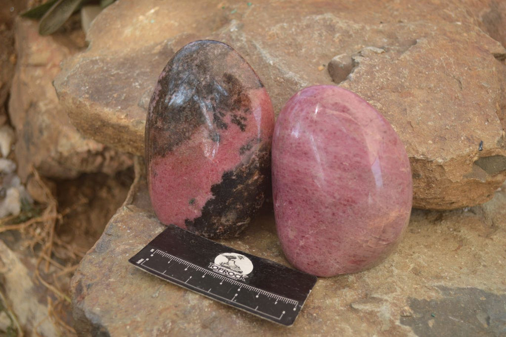 Polished  Pink & Black Rhodonite Standing Free Forms x 2 From Madagascar - Toprock Gemstones and Minerals 