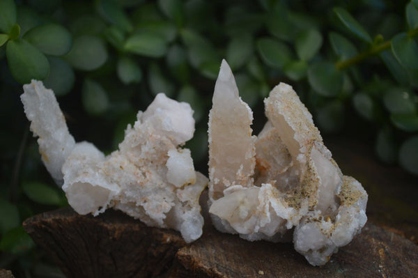 Natural Drusy Quartz Coated Fluorescent Peach Calcite Crystal Specimens  x 12 From Alberts Mountain, Lesotho