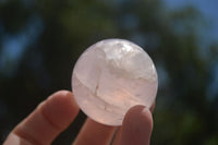 Polished Star Rose Quartz Spheres x 12 From Ambatondrazaka, Madagascar - TopRock