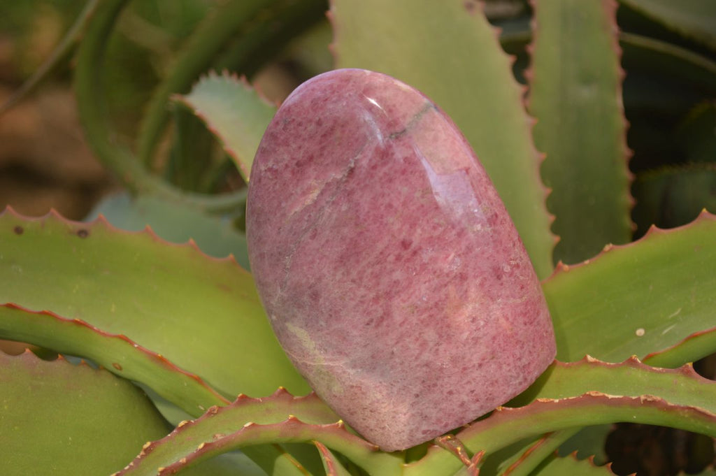 Polished  Pink & Black Rhodonite Standing Free Forms x 2 From Madagascar - Toprock Gemstones and Minerals 