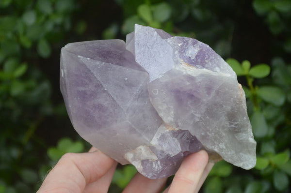 Natural Large Single Amethyst Crystals  x 3 From Mapatizya, Zambia - Toprock Gemstones and Minerals 