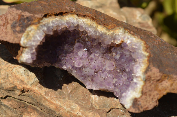 Natural Dark Amethyst Geodes In Basalt  x 2 From Zululand, South Africa - TopRock