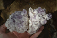 Natural Sugar Amethyst Clusters  x 4 From Zambia - Toprock Gemstones and Minerals 