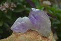 Natural Single Jacaranda Amethyst Crystals x 12 From Mumbwe, Zambia - Toprock Gemstones and Minerals 