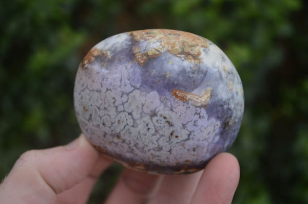 Polished Dendritic Opal Palm Stones  x 6 From Madagascar