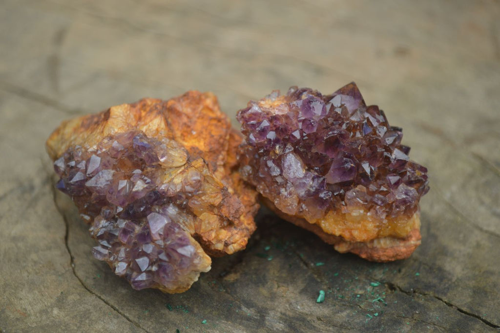 Natural Small Dark "Amethystos" Amethyst Clusters  x 35 From Kwaggafontein, South Africa - Toprock Gemstones and Minerals 