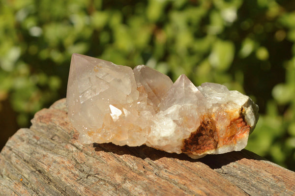 Natural Mixed Selection Of Small Spirit Quartz Crystals  x 35 From Boekenhouthoek, South Africa - TopRock