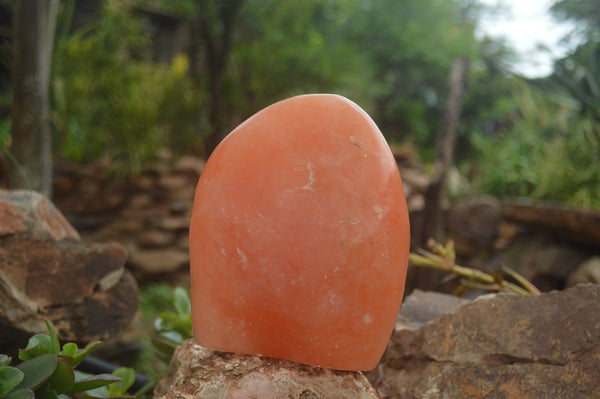 Polished Extra Large Orange Twist Calcite Standing Free Form  x 1 From Madagascar - TopRock