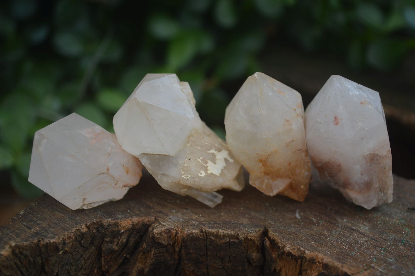 Natural Single Pineapple Candle Quartz Crystals  x 35 From Antsirabe, Madagascar - Toprock Gemstones and Minerals 