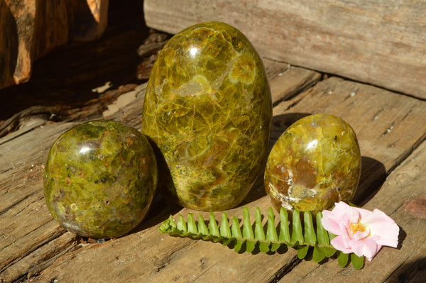 Polished Vibrant Green Opal Standing Free Forms x 3 From Antsirabe, Madagascar - TopRock