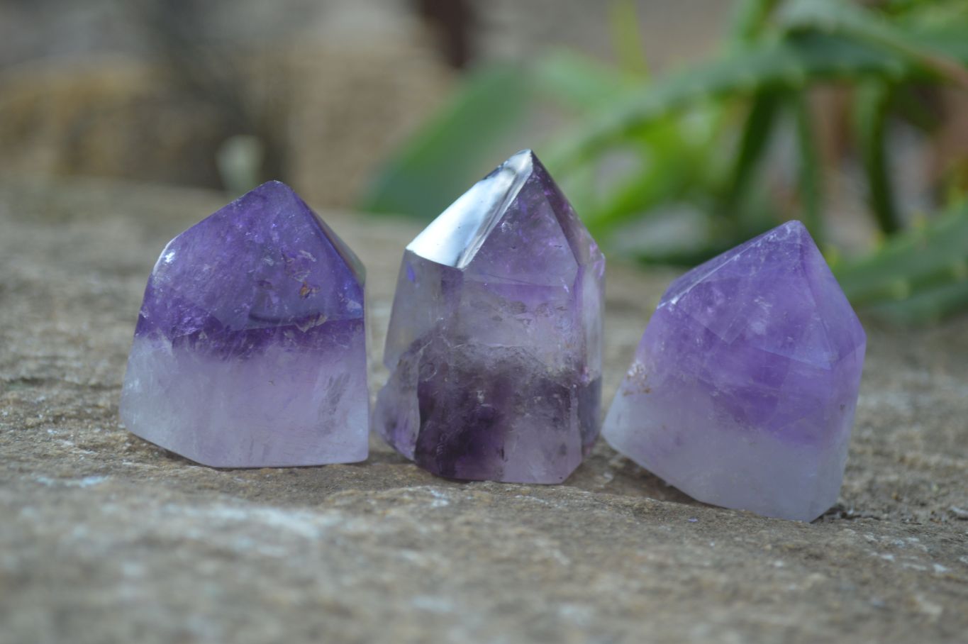 Polished Dream and Other Amethyst Points x 24 From Madagascar - Toprock Gemstones and Minerals 