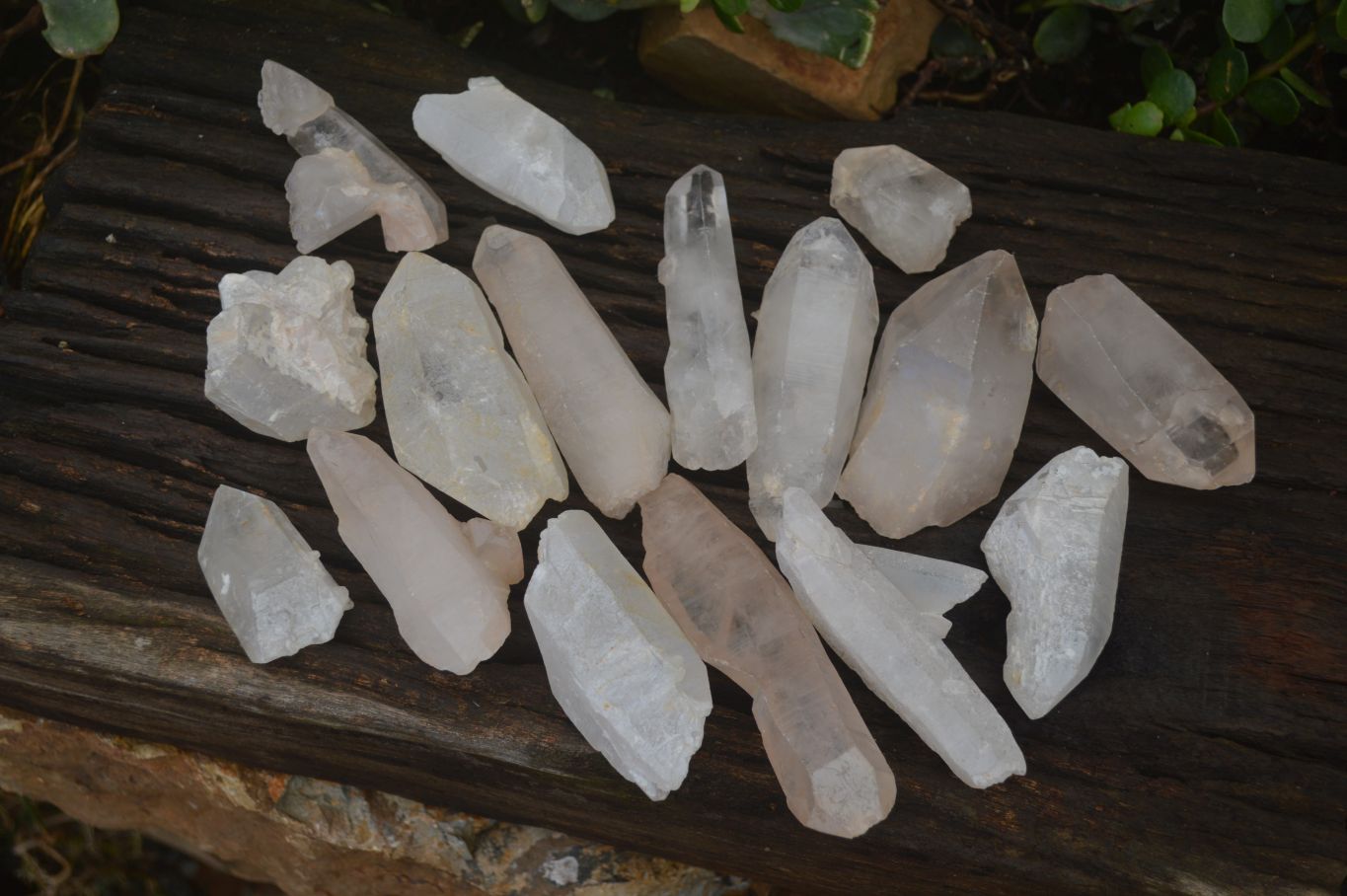 Natural Large Single Quartz Crystals  x 31 From Madagascar - Toprock Gemstones and Minerals 