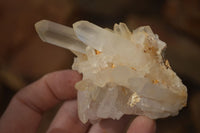 Natural Clear Quartz Crystal Clusters  x 24 From Madagascar - Toprock Gemstones and Minerals 