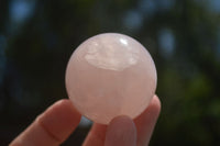 Polished Star Rose Quartz Spheres x 12 From Ambatondrazaka, Madagascar - TopRock