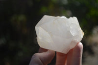 Natural Large White Quartz Crystals  x 6 From Madagascar - Toprock Gemstones and Minerals 