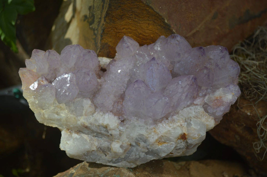 Natural Large Spirit Ametrine Quartz Specimens  x 3 From Boekenhouthoek, South Africa - Toprock Gemstones and Minerals 