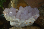 Natural Large Spirit Ametrine Quartz Specimens  x 3 From Boekenhouthoek, South Africa - Toprock Gemstones and Minerals 