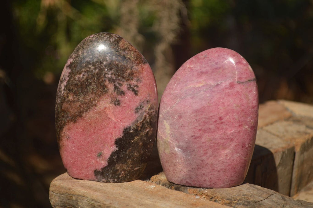Polished  Pink & Black Rhodonite Standing Free Forms x 2 From Madagascar - Toprock Gemstones and Minerals 