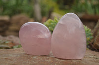 Polished Gemmy Pink Rose Quartz Standing Free Forms  x 5 From Ambatondrazaka, Madagascar - TopRock