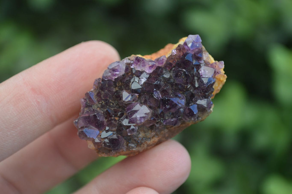 Natural Small Dark "Amethystos" Amethyst Clusters  x 35 From Kwaggafontein, South Africa - Toprock Gemstones and Minerals 