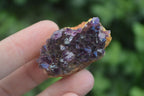 Natural Small Dark "Amethystos" Amethyst Clusters  x 35 From Kwaggafontein, South Africa - Toprock Gemstones and Minerals 