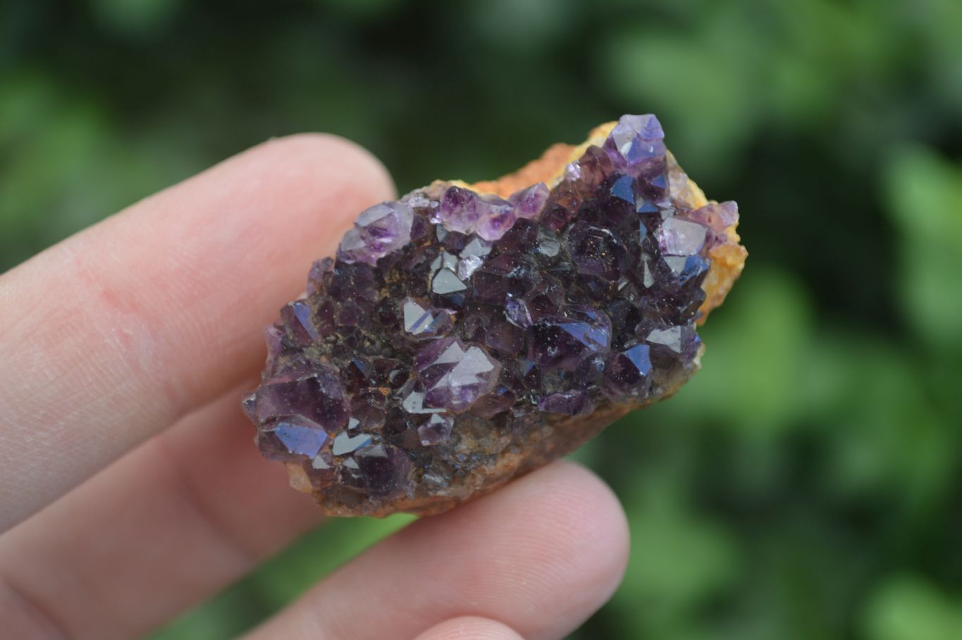 Natural Small Dark "Amethystos" Amethyst Clusters  x 35 From Kwaggafontein, South Africa - Toprock Gemstones and Minerals 