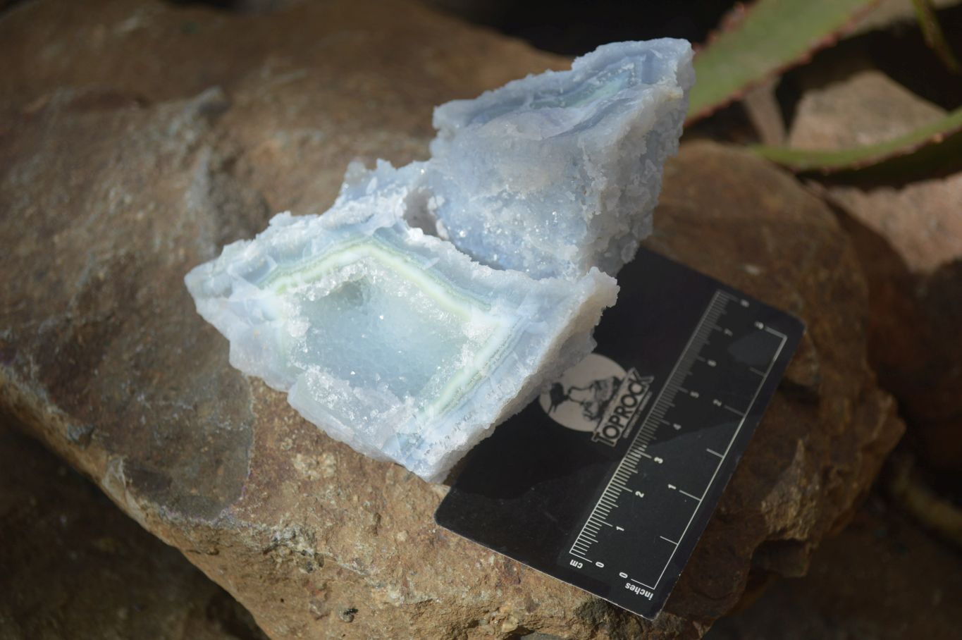 Natural Etched Blue Chalcedony Specimens  x 3 From Nsanje, Malawi - Toprock Gemstones and Minerals 