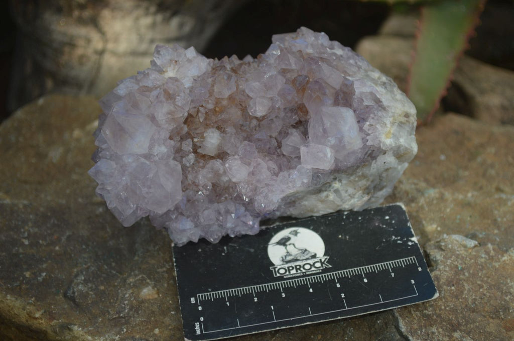 Natural Large Spirit Ametrine Quartz Specimens  x 3 From Boekenhouthoek, South Africa - Toprock Gemstones and Minerals 