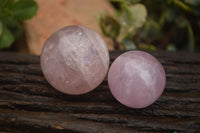 Polished Star Rose Quartz Spheres x 12 From Ambatondrazaka, Madagascar - TopRock