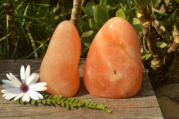 Polished Vibrant Orange Calcite Standing Free Forms x 2 From Madagascar - TopRock