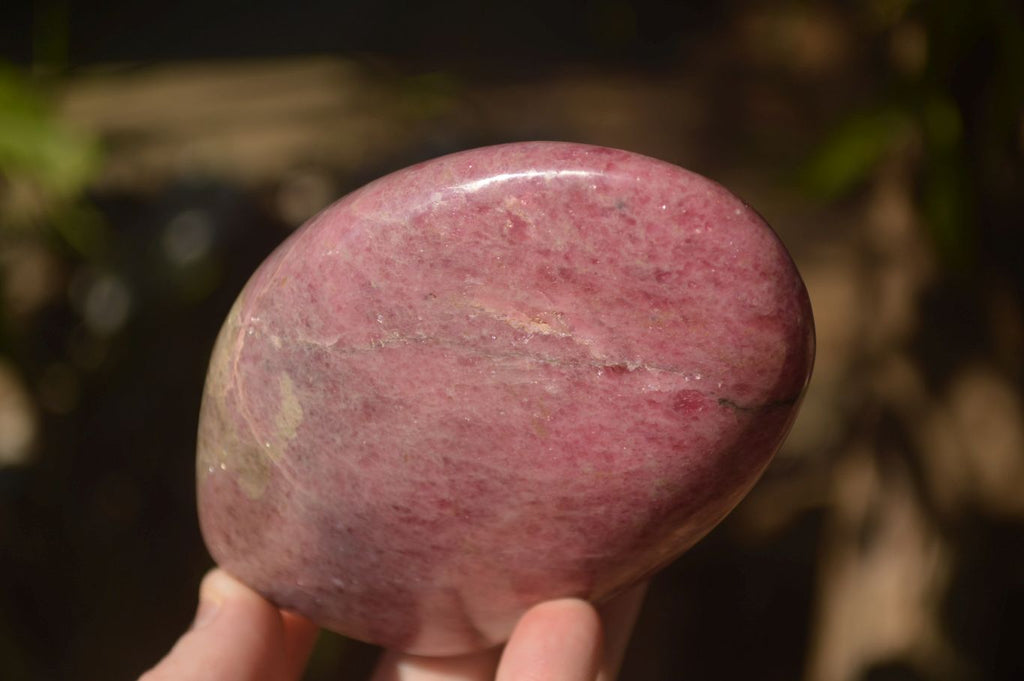 Polished  Pink & Black Rhodonite Standing Free Forms x 2 From Madagascar - Toprock Gemstones and Minerals 