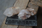 Natural Single Pineapple Candle Quartz Crystals  x 35 From Antsirabe, Madagascar - Toprock Gemstones and Minerals 