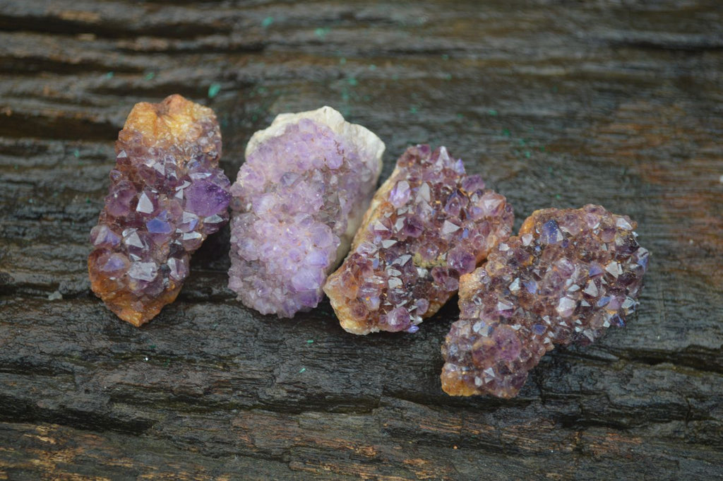Natural Small Dark "Amethystos" Amethyst Clusters  x 35 From Kwaggafontein, South Africa - Toprock Gemstones and Minerals 